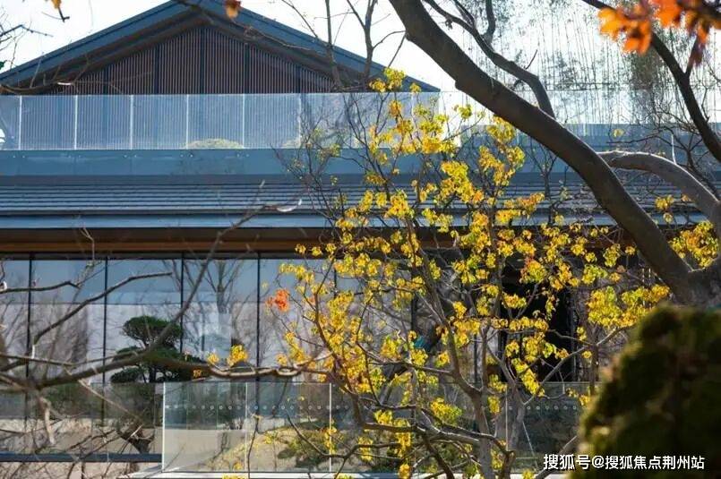 楼盘详情-交房时间-房价户型图-小区环境--交房时间-周边配套-24h电话！AG真人平台楼市热搜焦点：济宁青特瑞马云境网站-青特瑞马云境售楼处电话-济宁(图1)