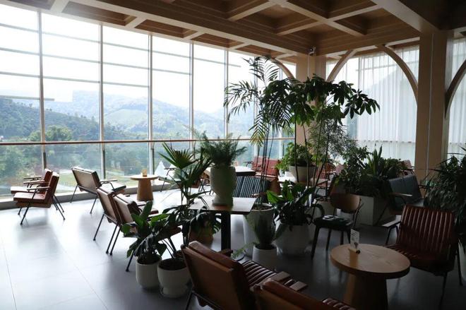 逆袭拼多多把“乡土生意”做成新国货AG真