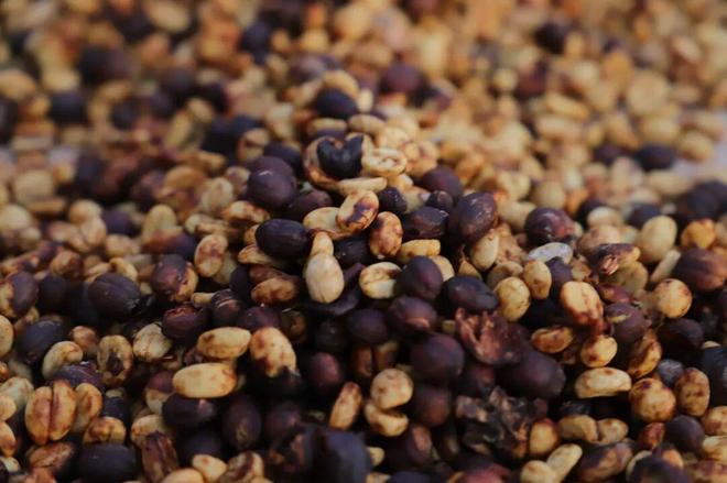 逆袭拼多多把“乡土生意”做成新国货AG真人平台app一颗云南豆子的(图3) 逆袭拼多多把“乡土生意”做成新国货AG真人平台app一颗云南豆子的(图3)